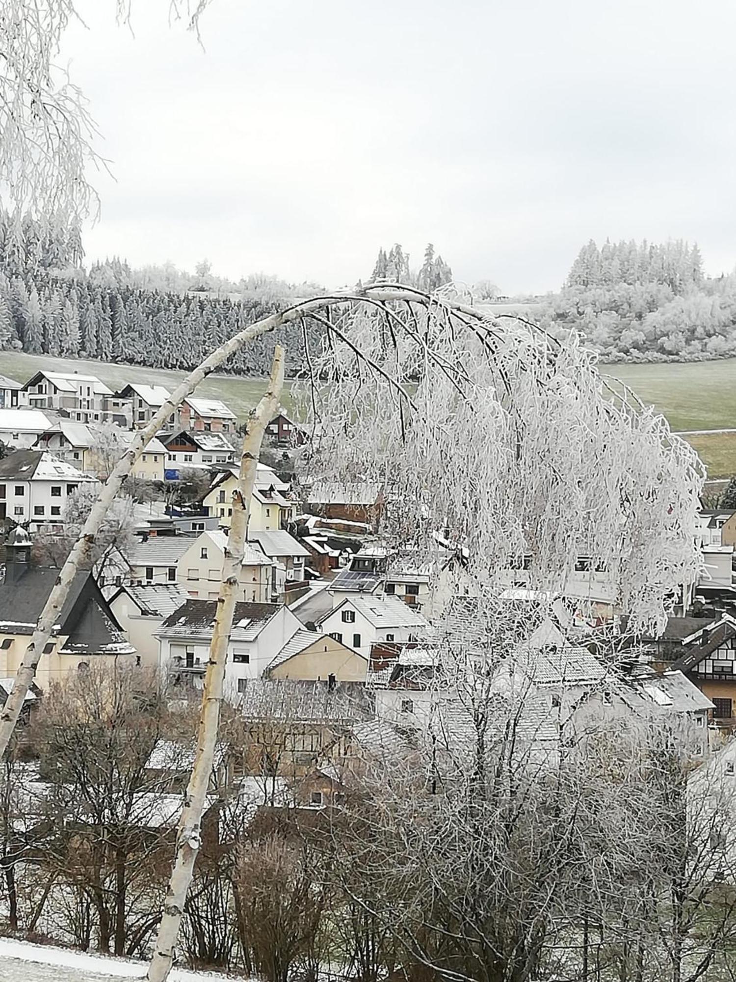 Am Lindenbaum, Ferienwohnung In Siebenbach Am Nuerburgring Esterno foto