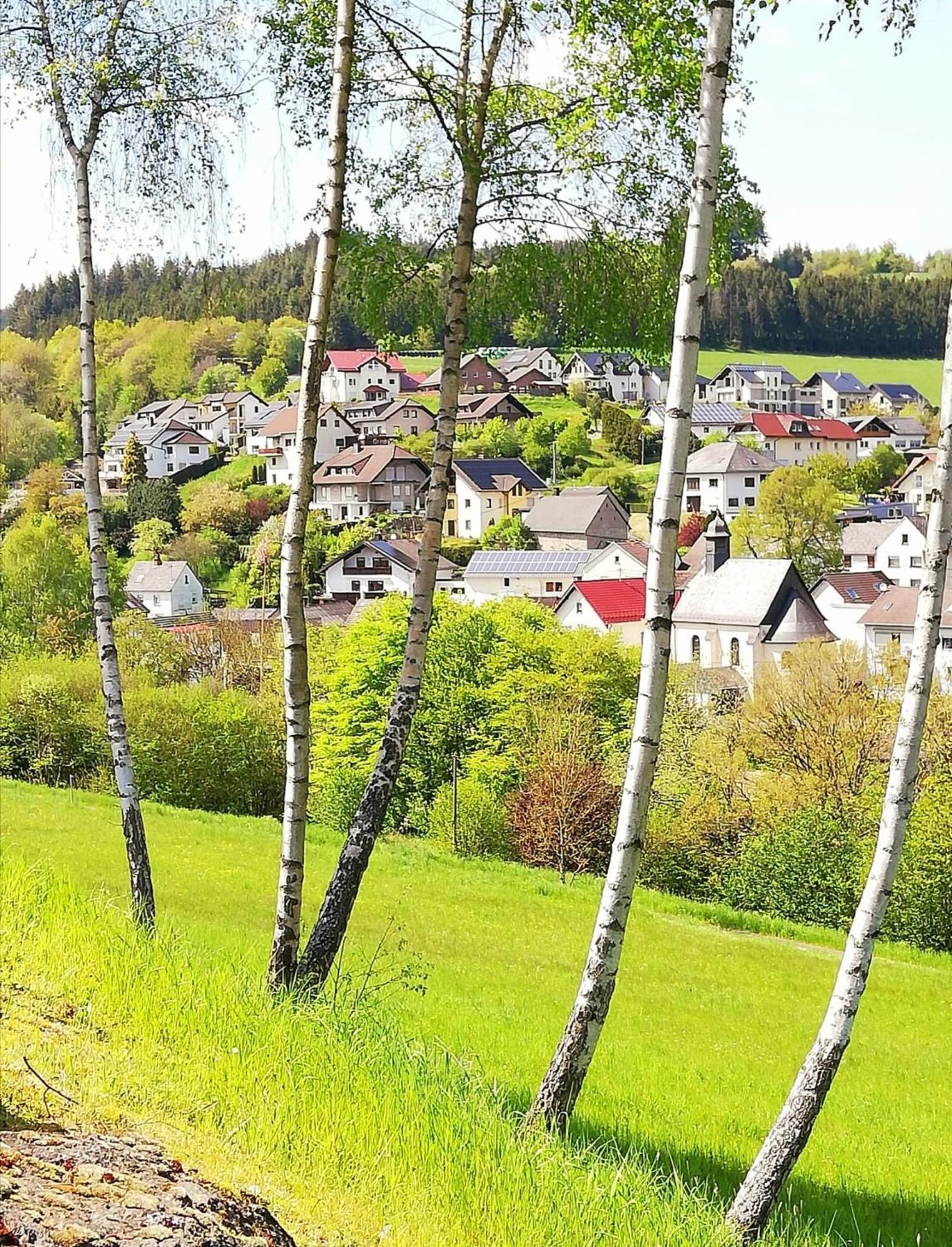 Am Lindenbaum, Ferienwohnung In Siebenbach Am Nuerburgring Esterno foto