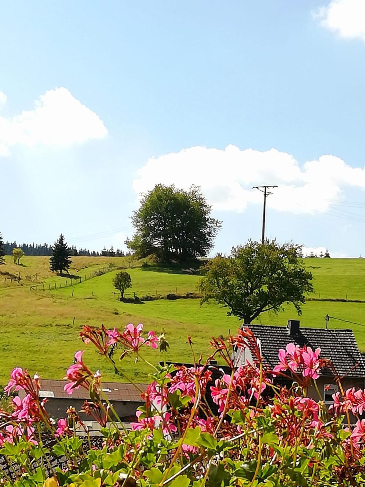 Am Lindenbaum, Ferienwohnung In Siebenbach Am Nuerburgring Esterno foto
