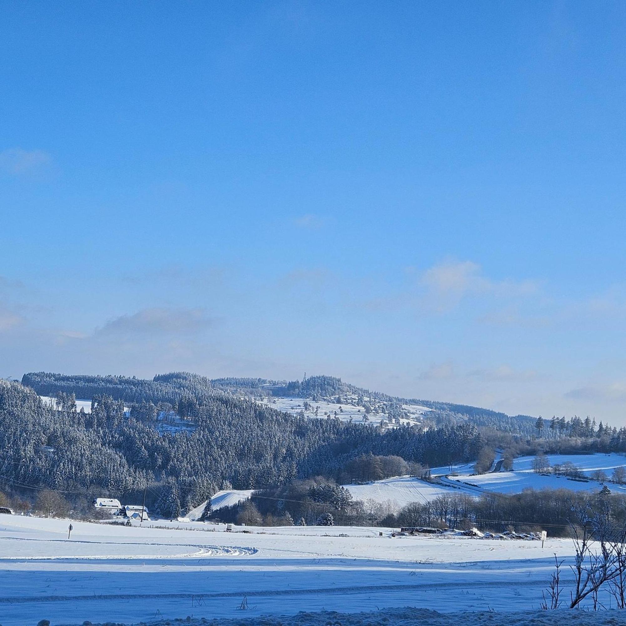 Am Lindenbaum, Ferienwohnung In Siebenbach Am Nuerburgring Esterno foto