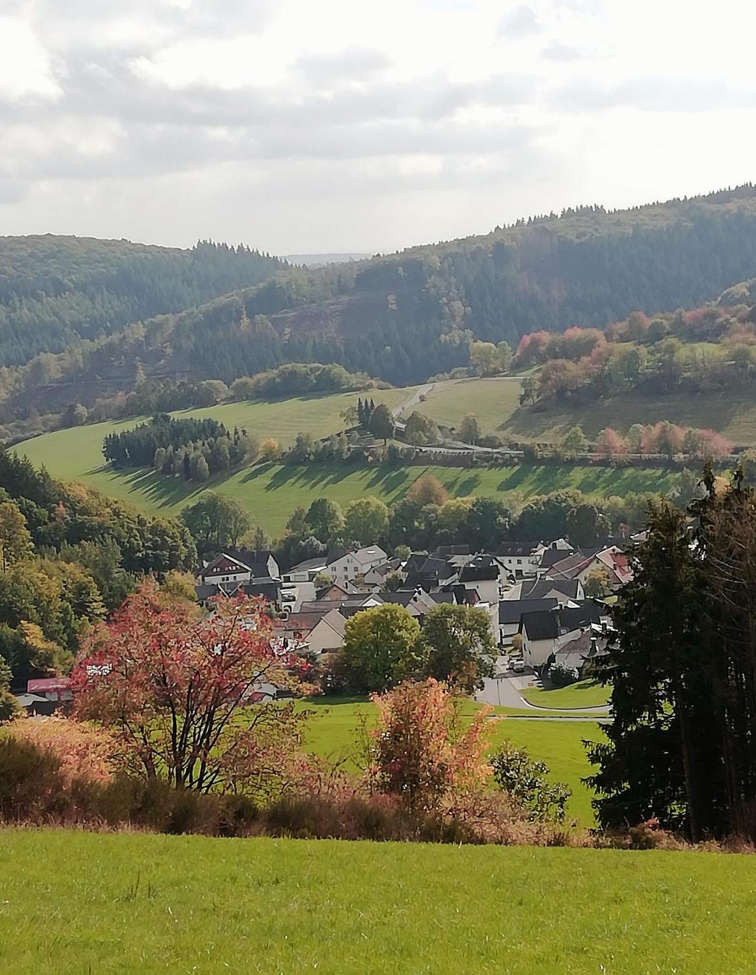 Am Lindenbaum, Ferienwohnung In Siebenbach Am Nuerburgring Esterno foto